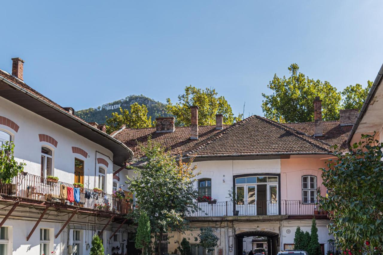 Zen Studio Brasov Luaran gambar